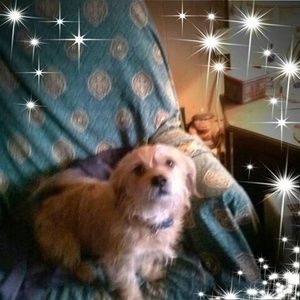 Meet your Posher, Georgia